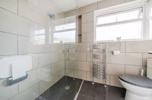 Ground floor shower room- click for photo gallery